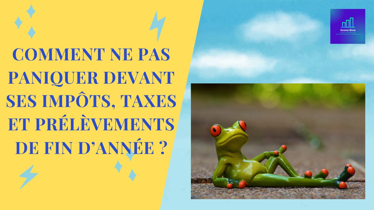 Comment ne pas paniquer devant ses impôts, taxes et prélèvements de fin d’année