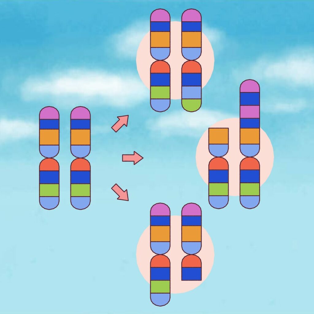 Exemples d’objectifs concrets