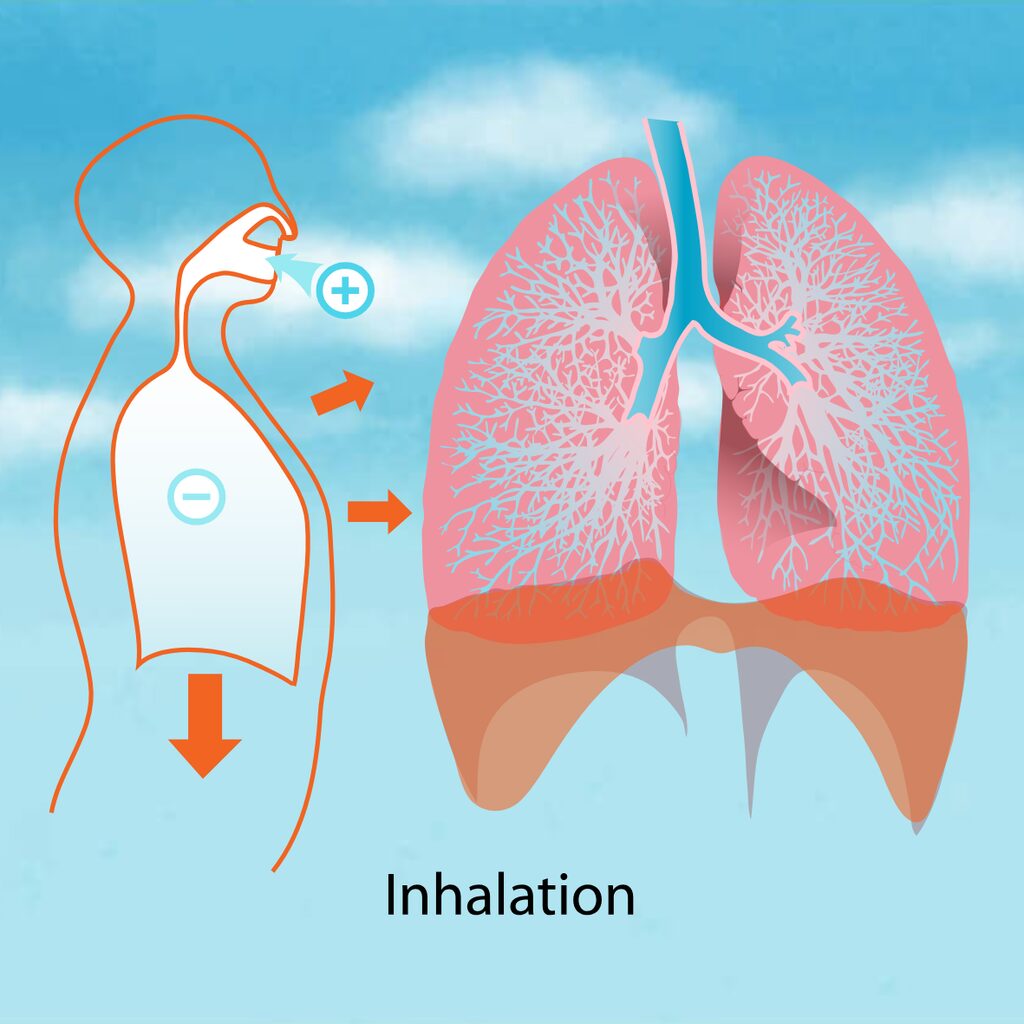 Commencer par la respiration