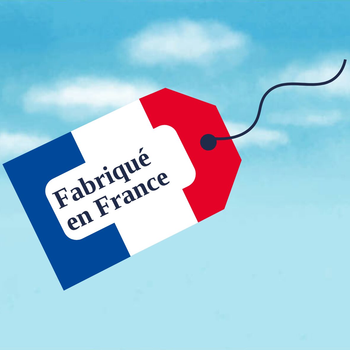 Origine et contexte du dispositif