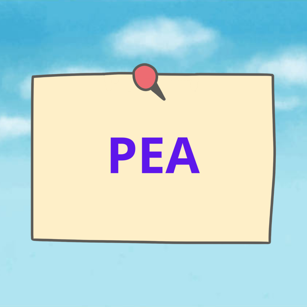 PEA (Plan d’Épargne en Actions)